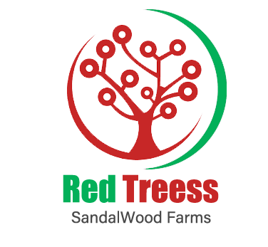 Red Treess Logo